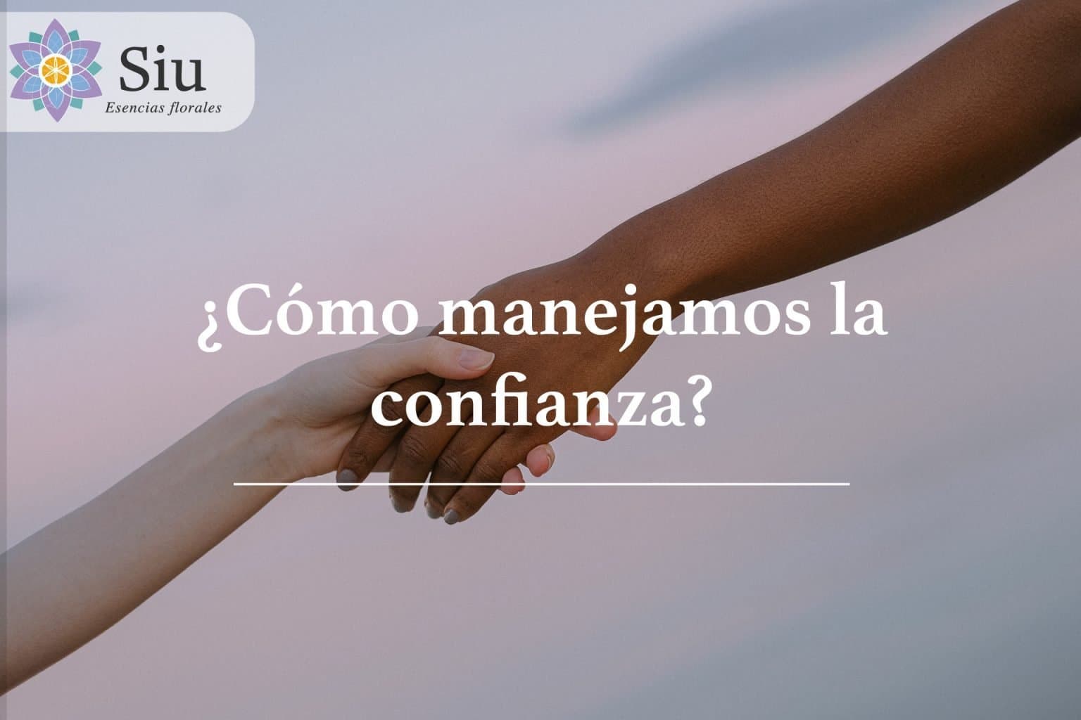 ¿Cómo aumentar la confianza?
