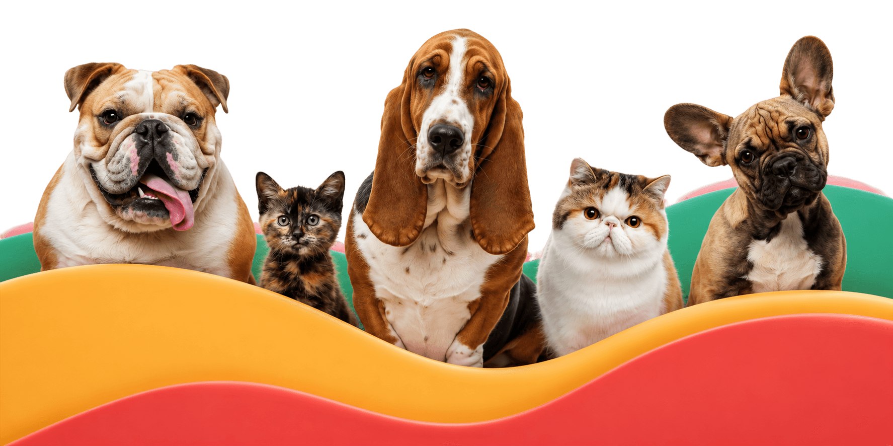 Pie de página Mundo Mascotas Siu — acompañamiento emocional para peludos