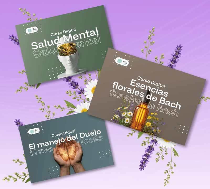 Courses and workshops