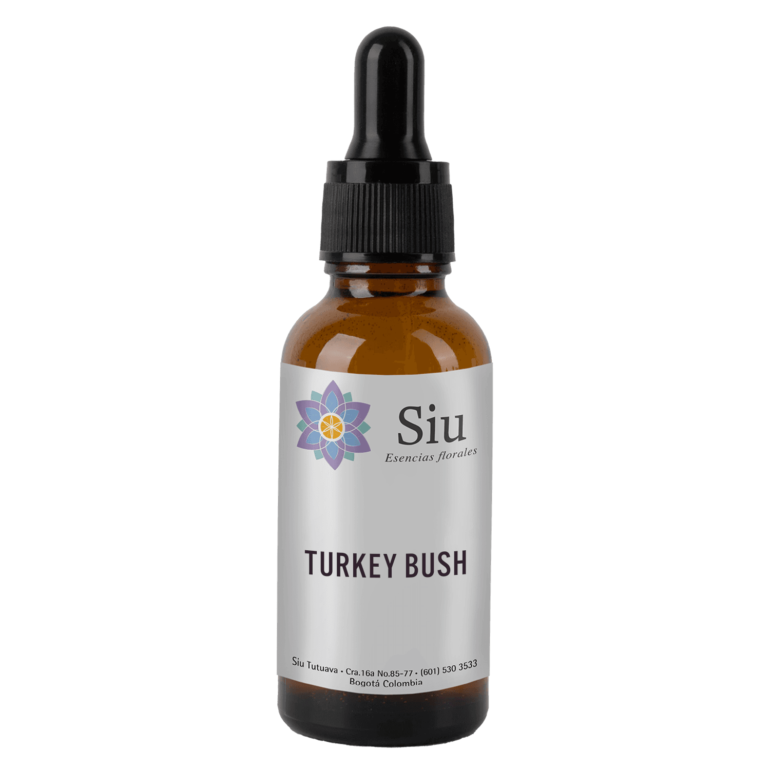 Turkey Bush (Calytrix exstipulata)