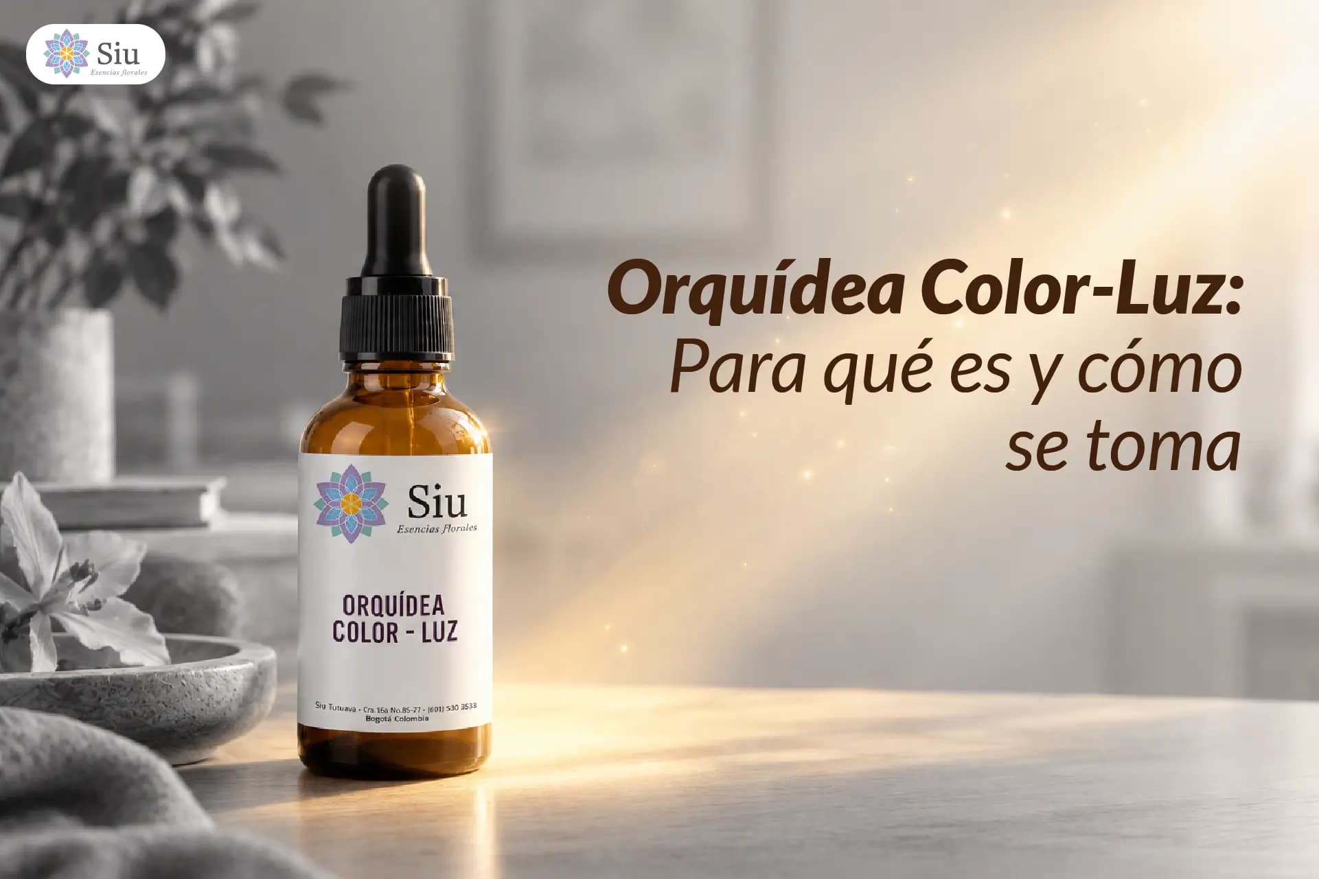 Orquídea Color-Luz: para qué es y cómo se toma