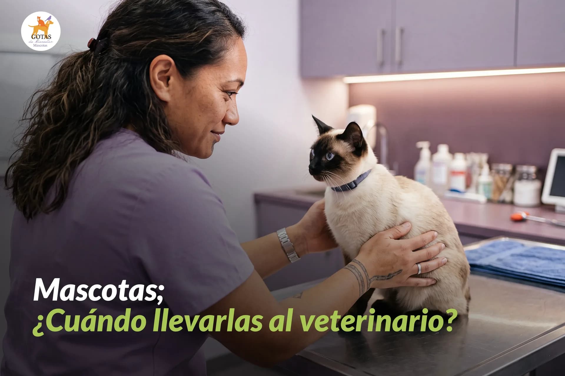 Mascotas; ¿Cuándo llevarlas al veterinario?