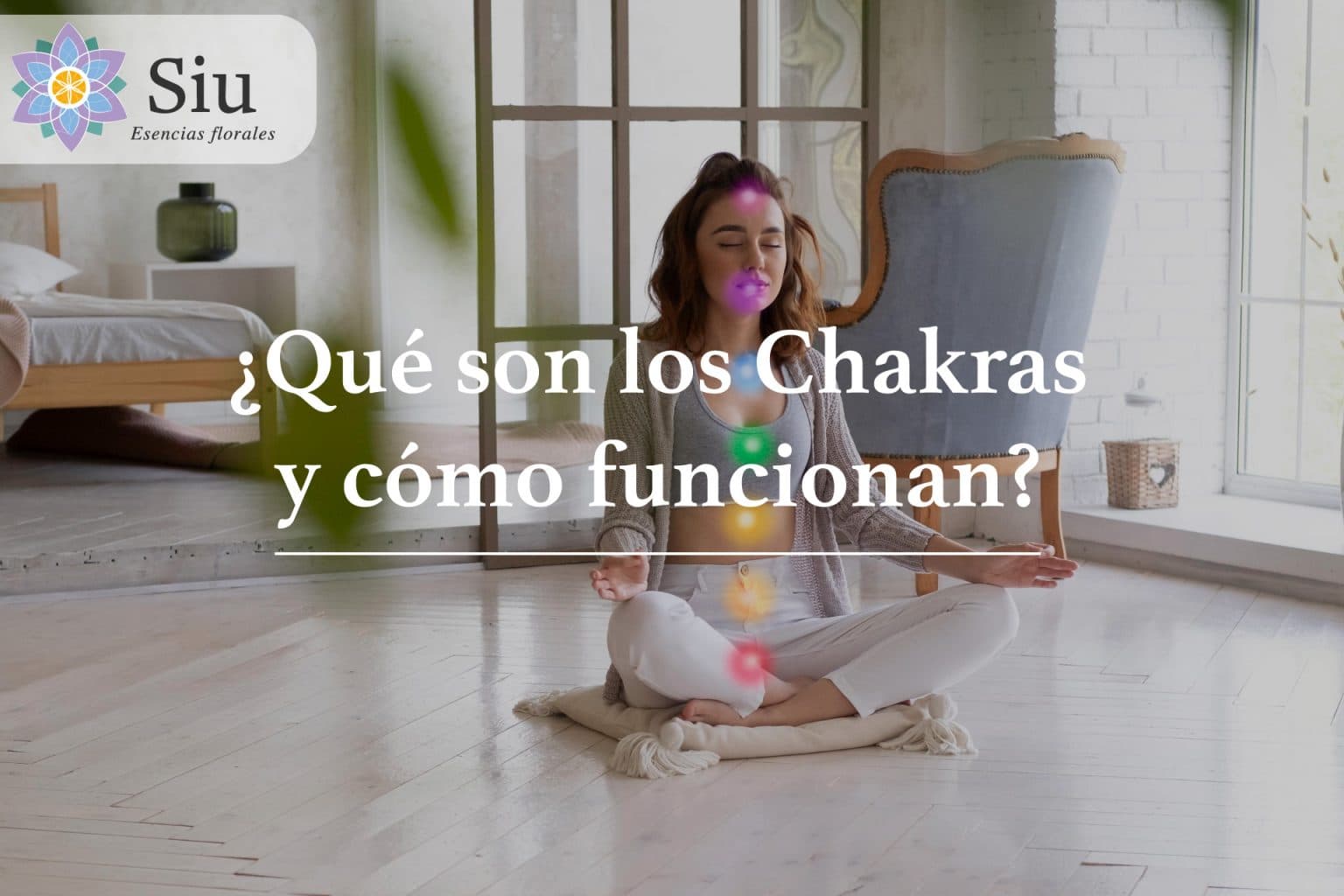 ¿Qué Es el Chackra y Cómo Funcionan Sus 7 Vórtices?