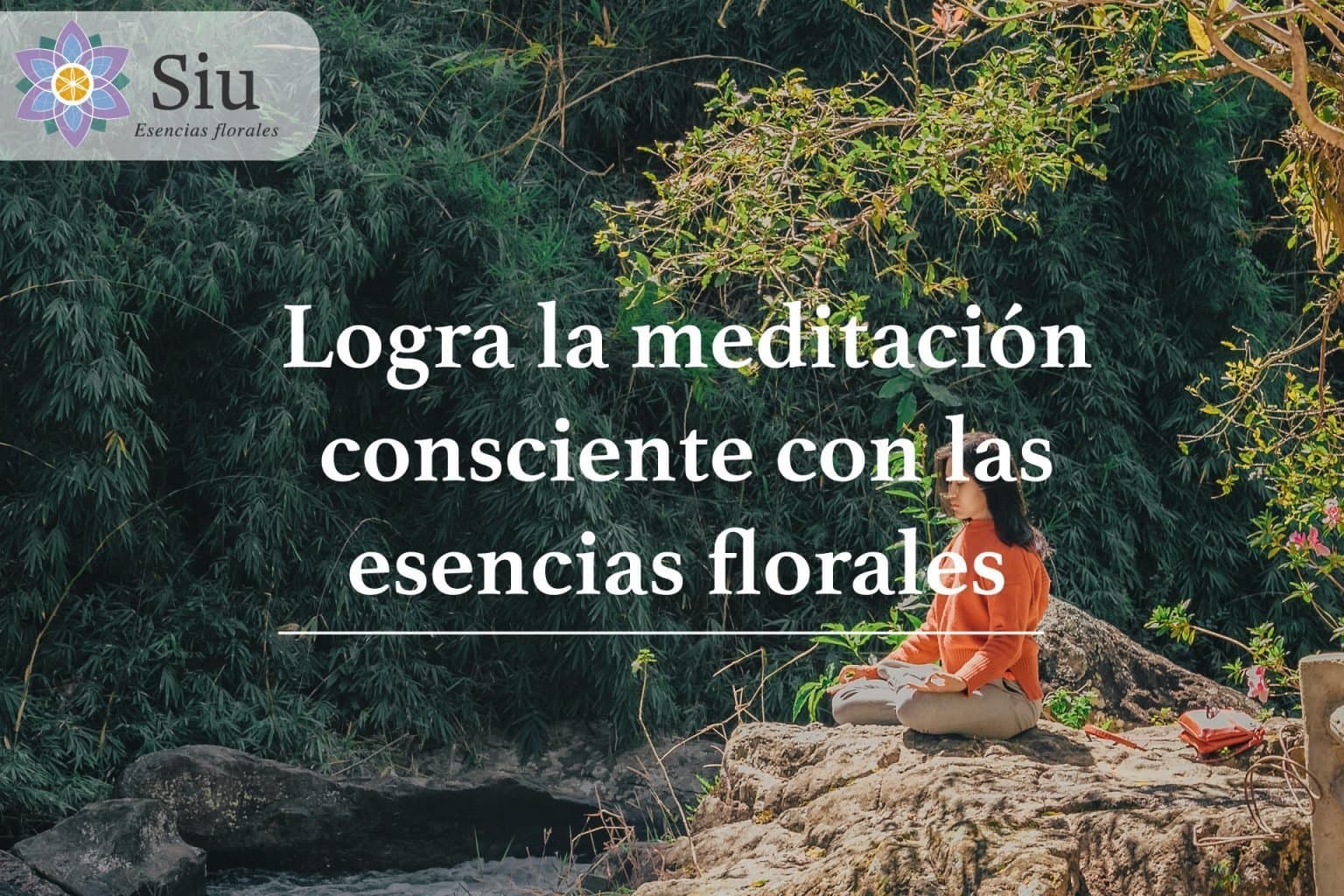 Logra la meditación consiente con las esencias florales