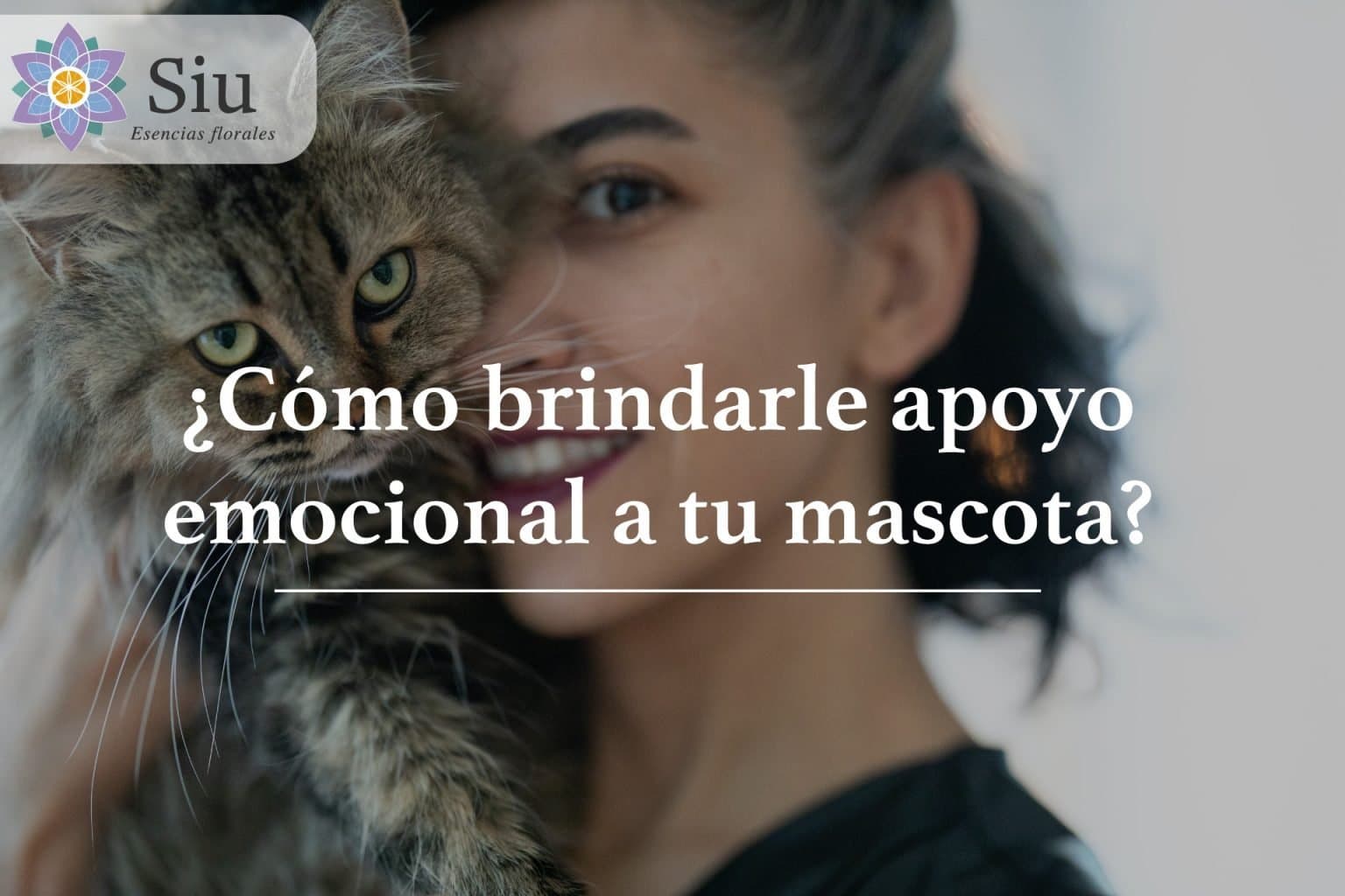 ¿Cómo brindarle apoyo emocional a tus mascotas?