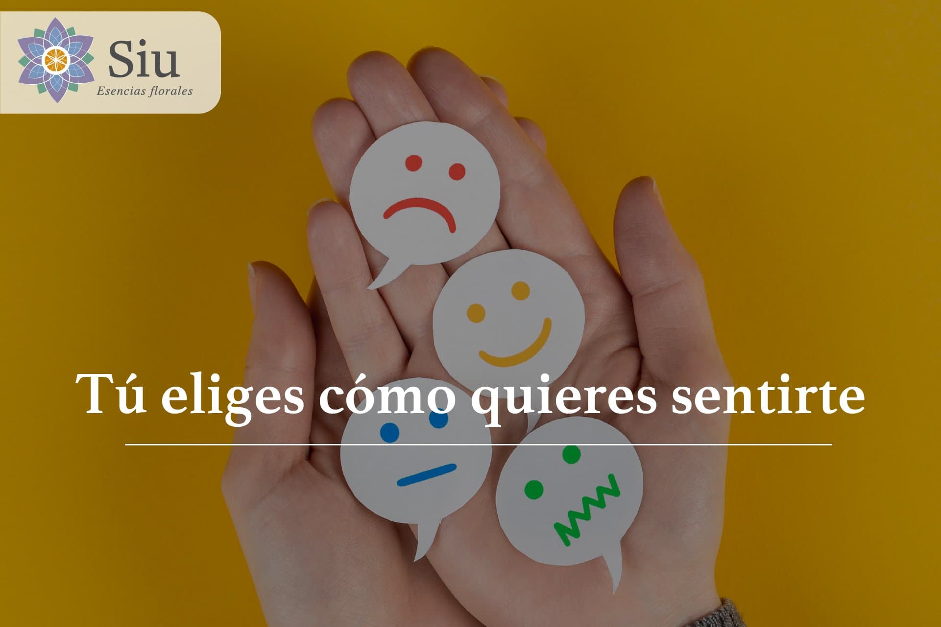 Aprende a gestionar las emociones