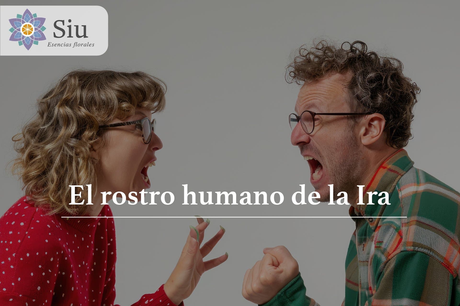 El rostro humano de la Ira