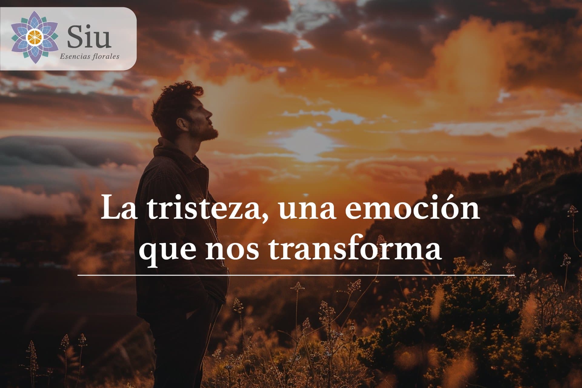 La tristeza, una emoción que nos transforma.