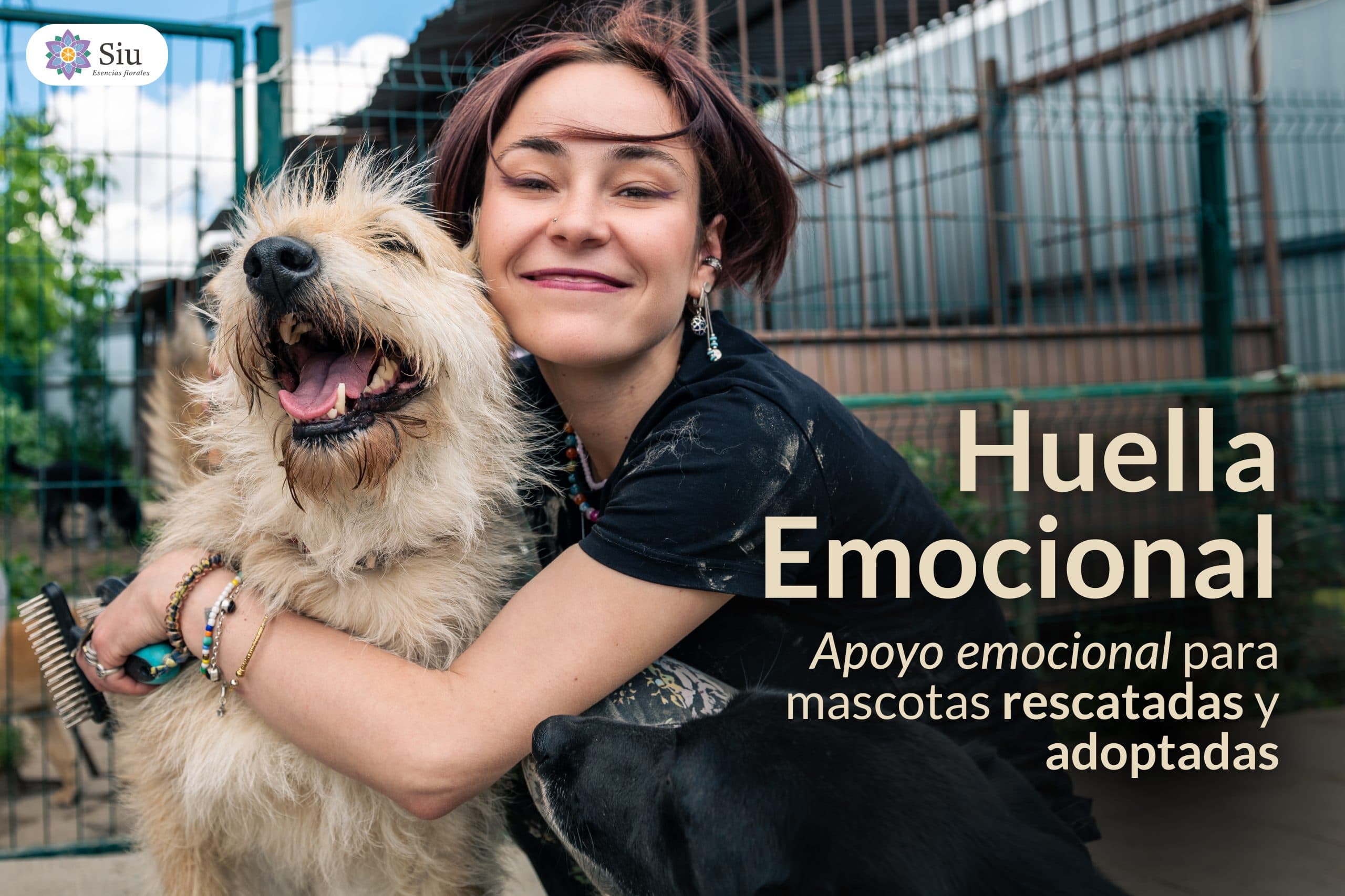 Huella Emocional: Apoyo emocional para mascotas rescatadas y adoptadas.