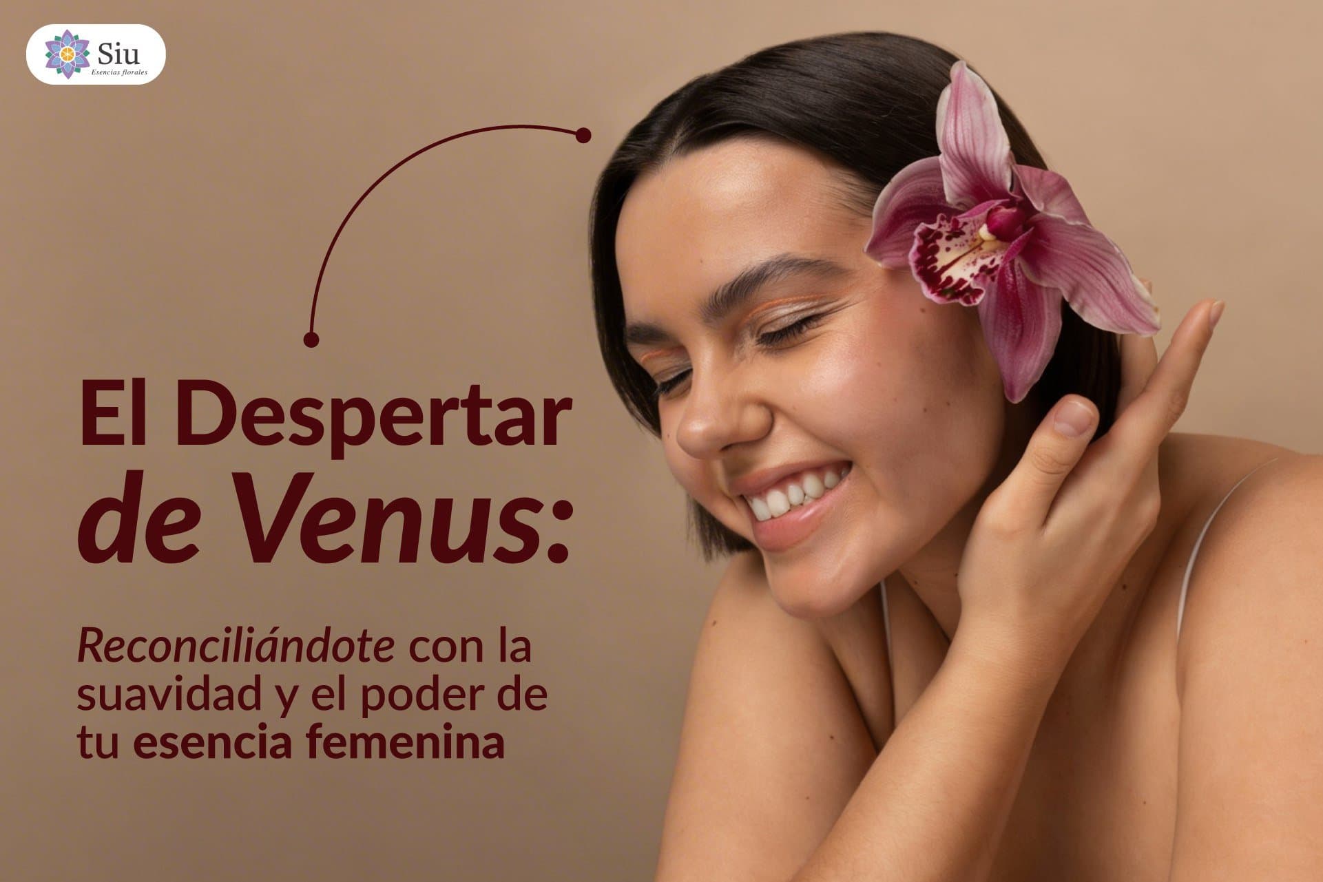 El Despertar de Venus: Reconciliándote con la suavidad y el poder de tu esencia femenina