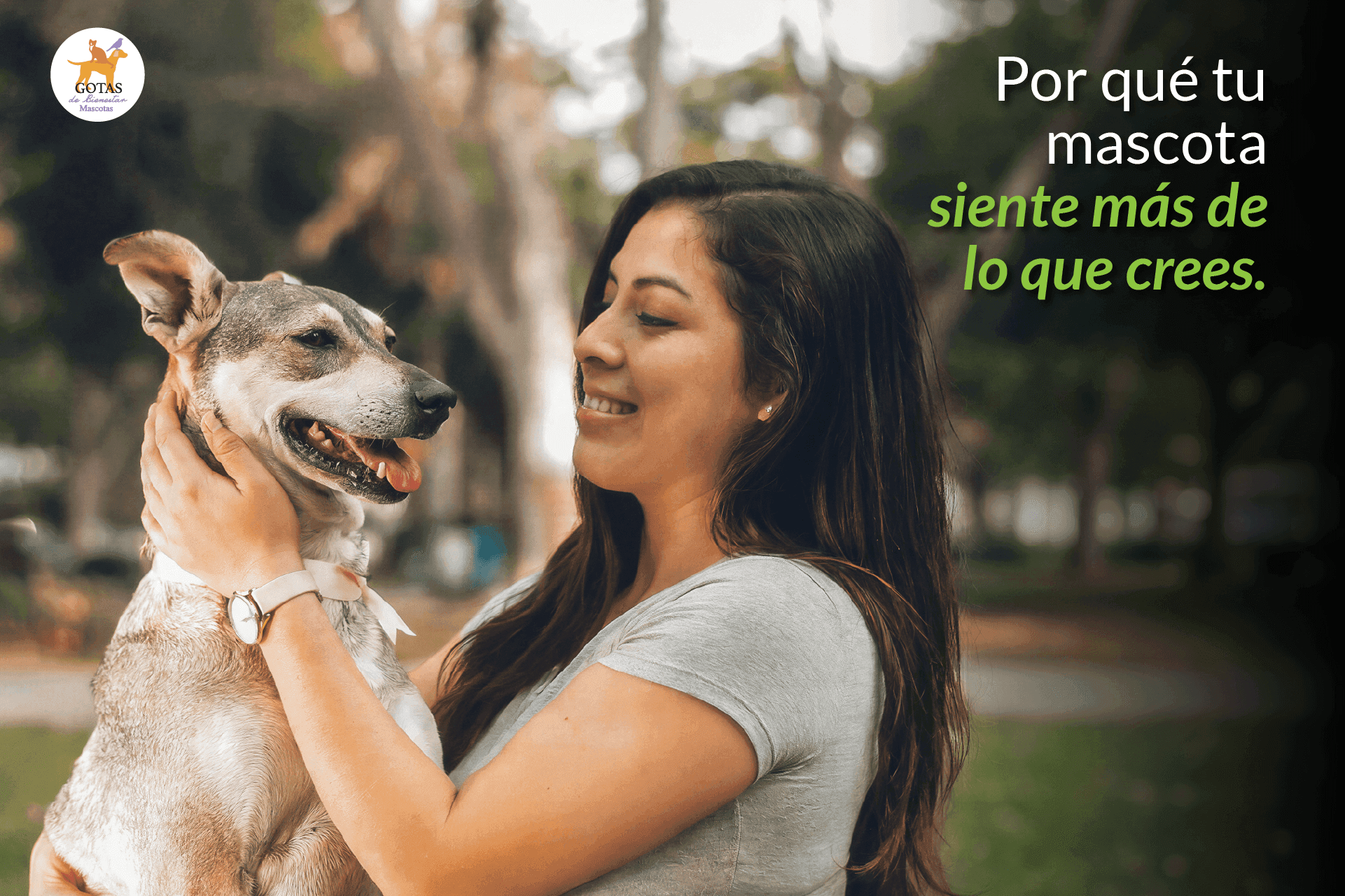 Por qué tu mascota siente más de lo que crees