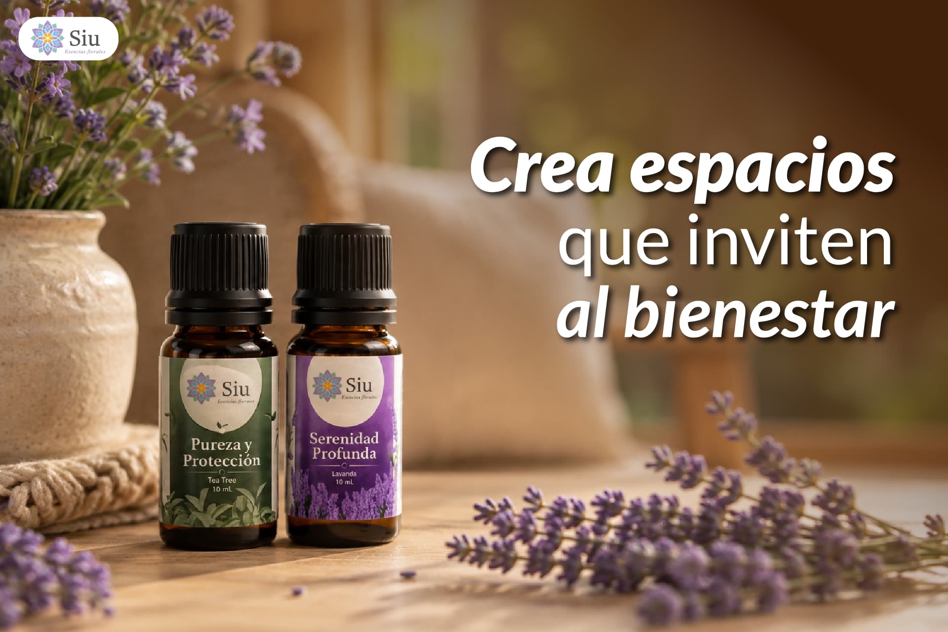 Create spaces that invite wellbeing