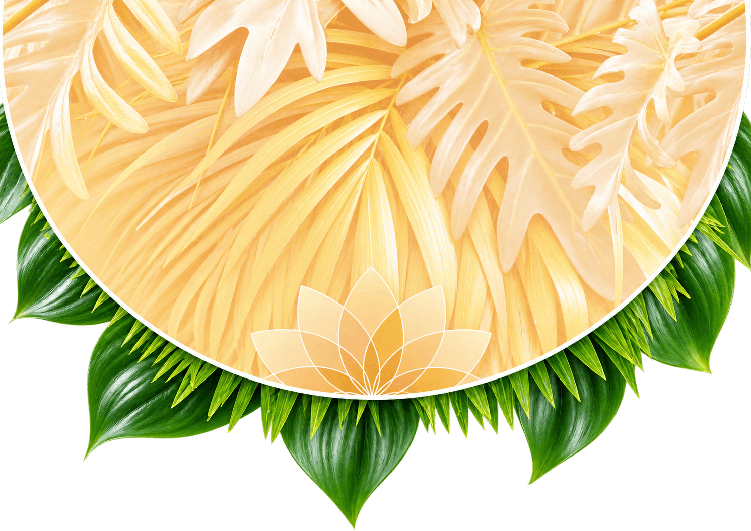 Siupausia