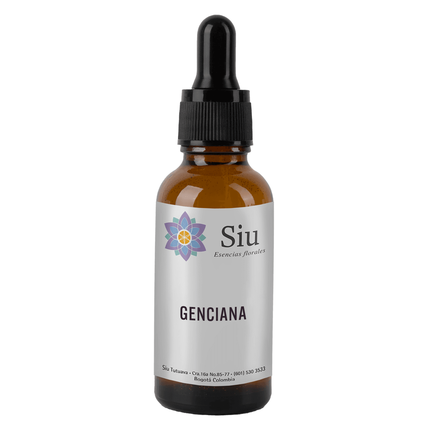 Gentian