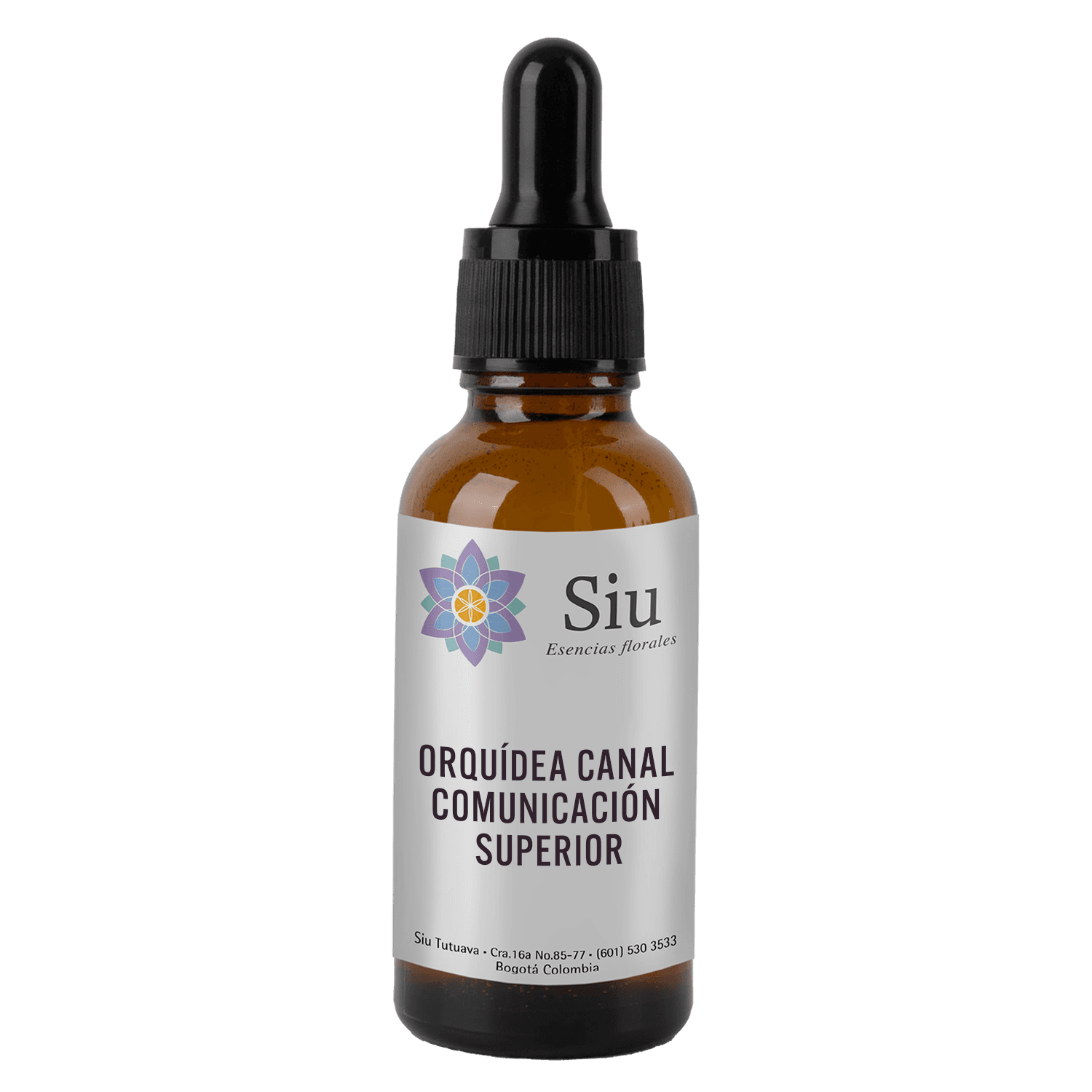 Orquídea Canal Comunicación Superior
(Oncidium incurvum)
