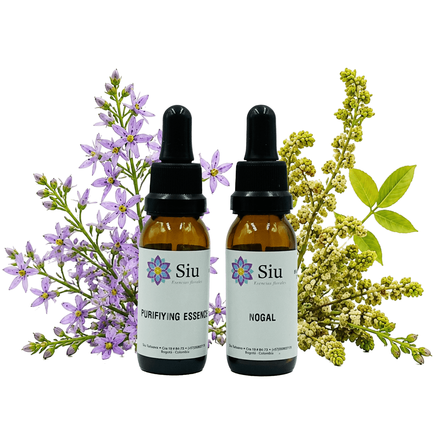 Paquete de bienestar Desintoxícate