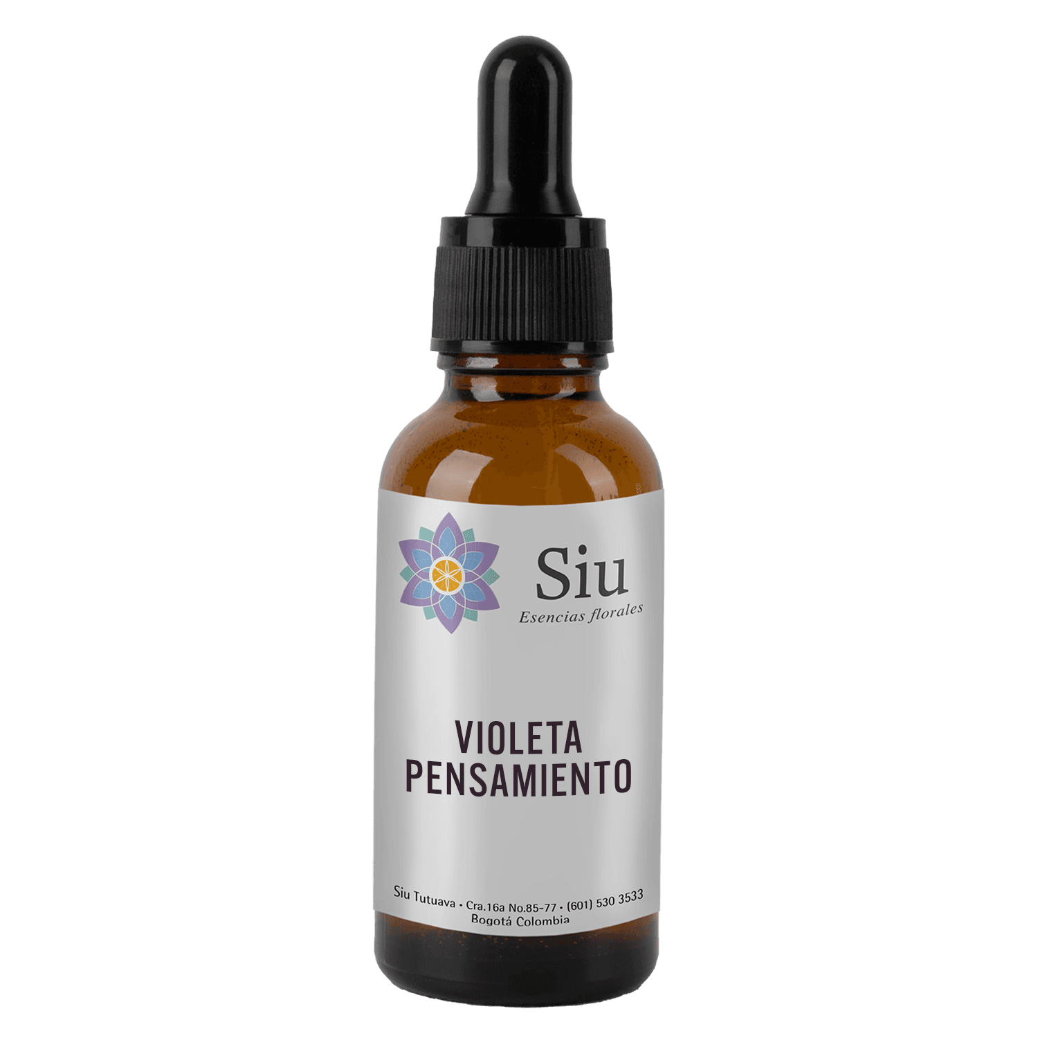 Violeta Pensamiento (Viola hirta)