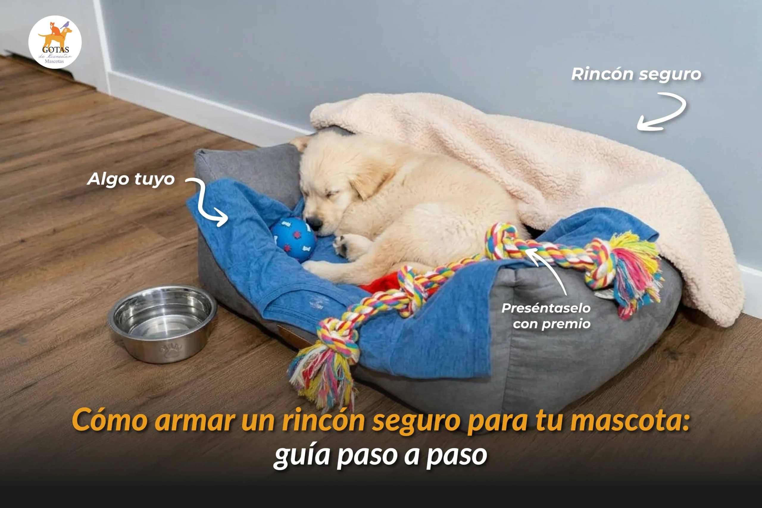 Cómo armar un rincón seguro para tu mascota: guía paso a paso